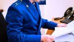 Прокуратура направила в суд уголовное дело о незаконной рубке деревьев в крупном размере